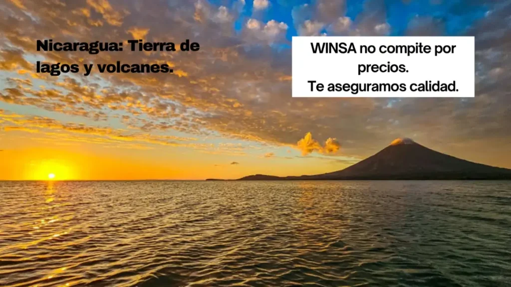 Diseño Web para empresas en Nicaragua