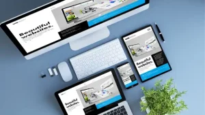 Web Design Asheville in North Carolina