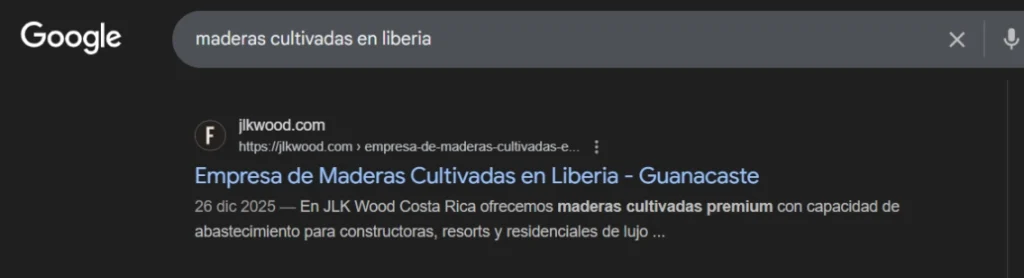 Agencia Diseño Web Profesional en Liberia